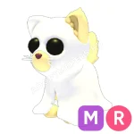 Ghostly Cat