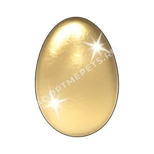 Golden Egg