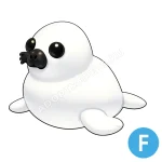 Harp Seal
