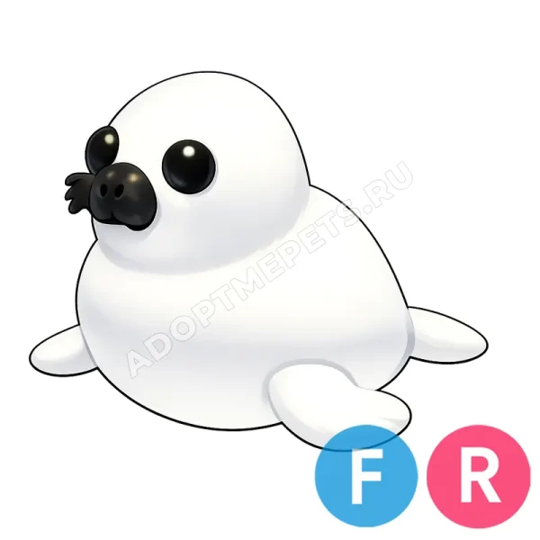 Harp Seal