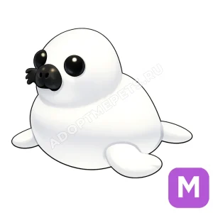 Harp Seal