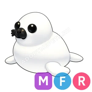 Harp Seal