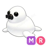 Harp Seal