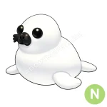 Harp Seal
