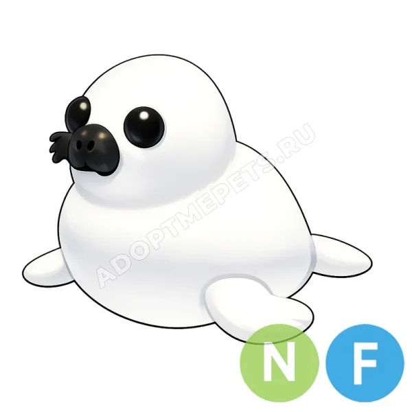 Harp Seal