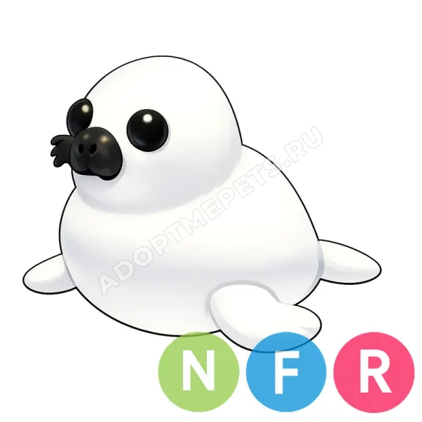 Harp Seal