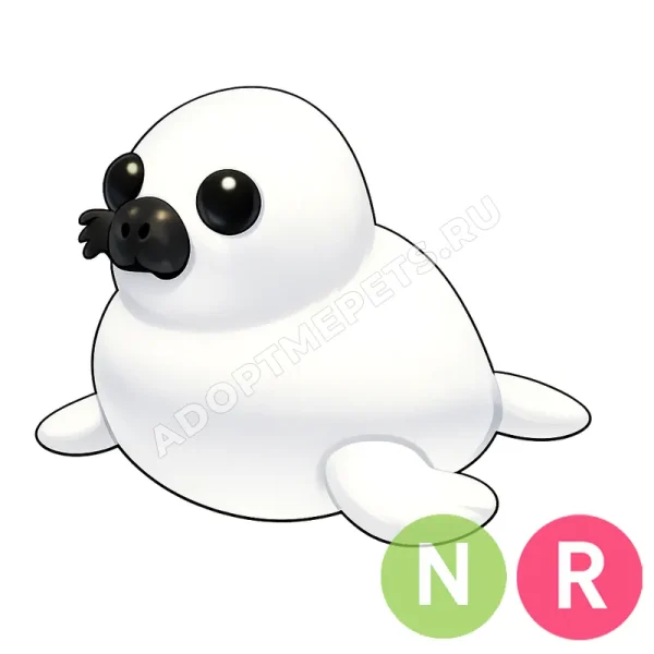 Harp Seal