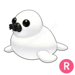 Harp Seal