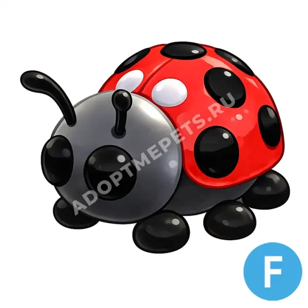 Ladybug
