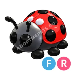 Ladybug