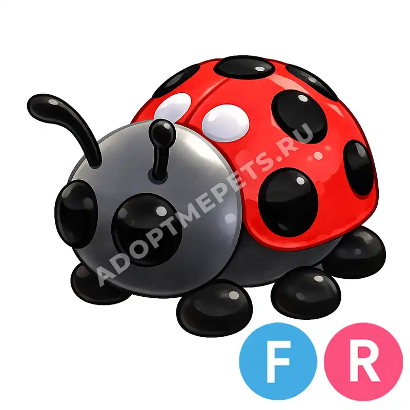 Ladybug