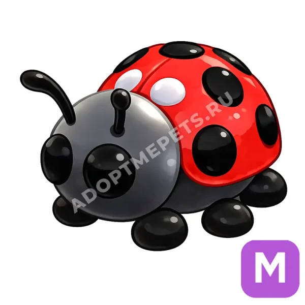 Ladybug