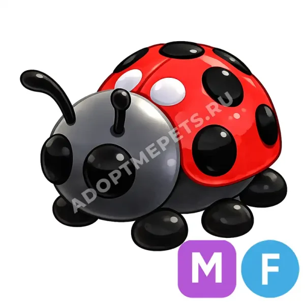 Ladybug