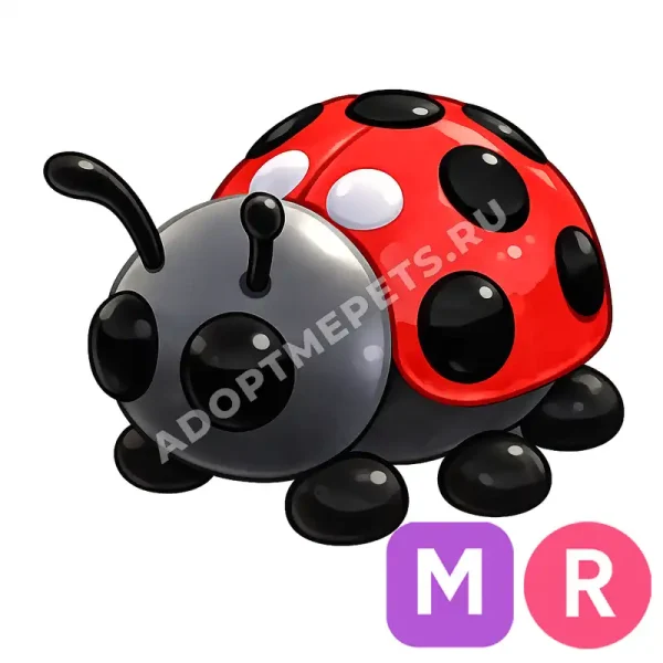 Ladybug