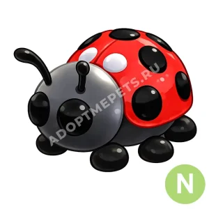 Ladybug