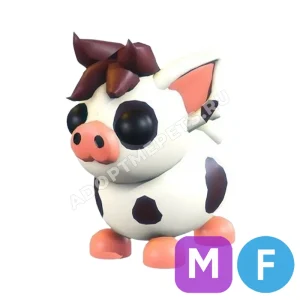Mini Pig