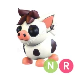 Mini Pig