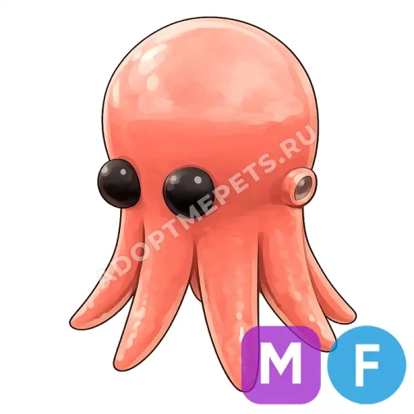 Octopus