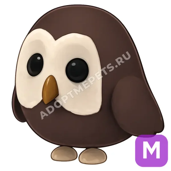 Owl