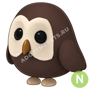 Owl