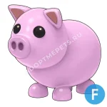 Pig