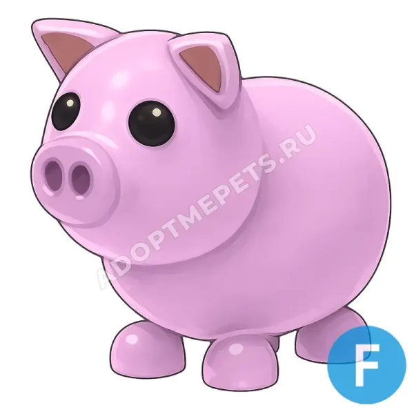 Pig