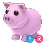 Pig