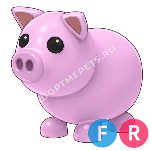 Pig