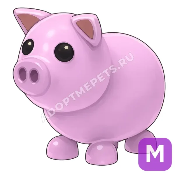 Pig