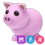 Pig