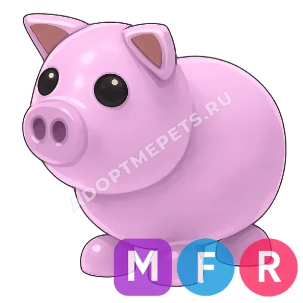 Pig
