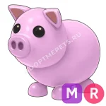 Pig