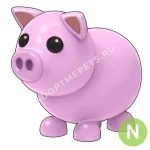 Pig
