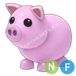 Pig