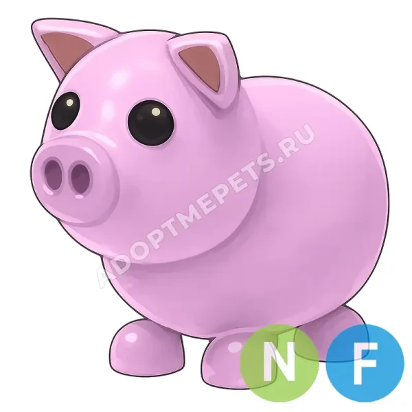 Pig