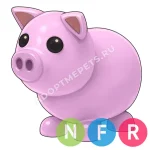 Pig