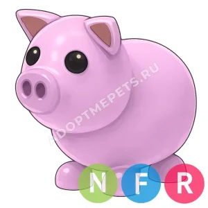 Pig