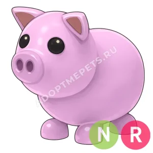 Pig