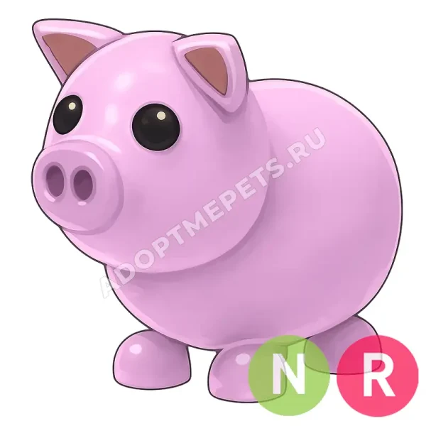 Pig