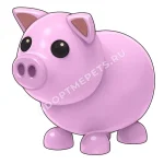 Pig