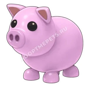 Pig