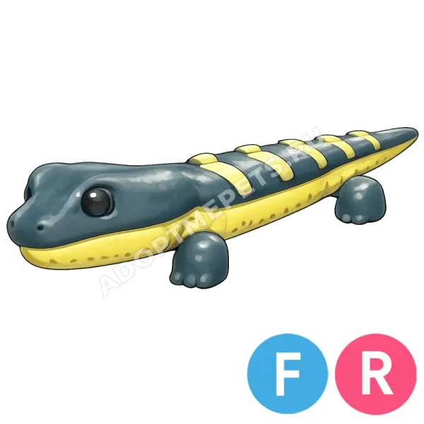 Salamander