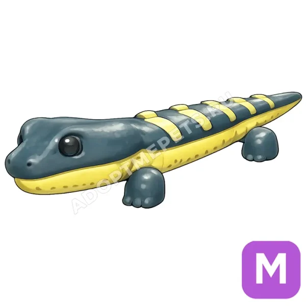 Salamander