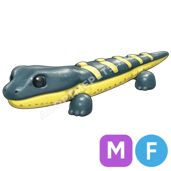 Salamander