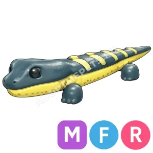 Salamander