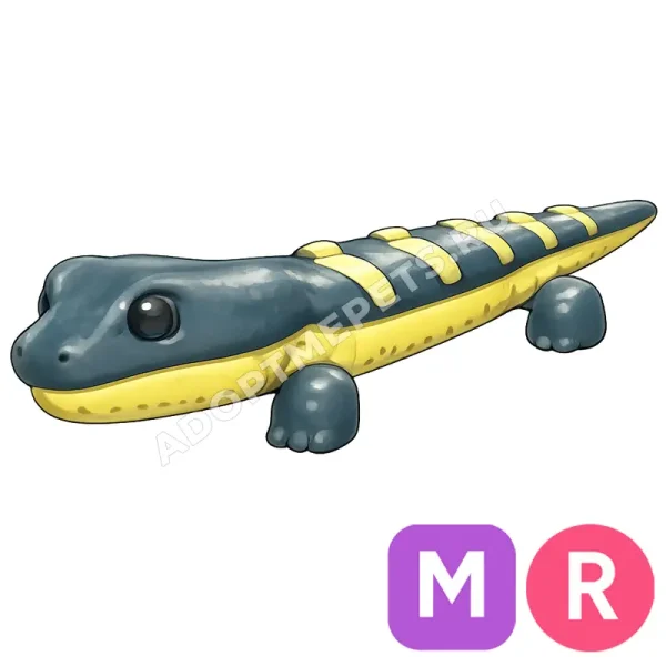 Salamander