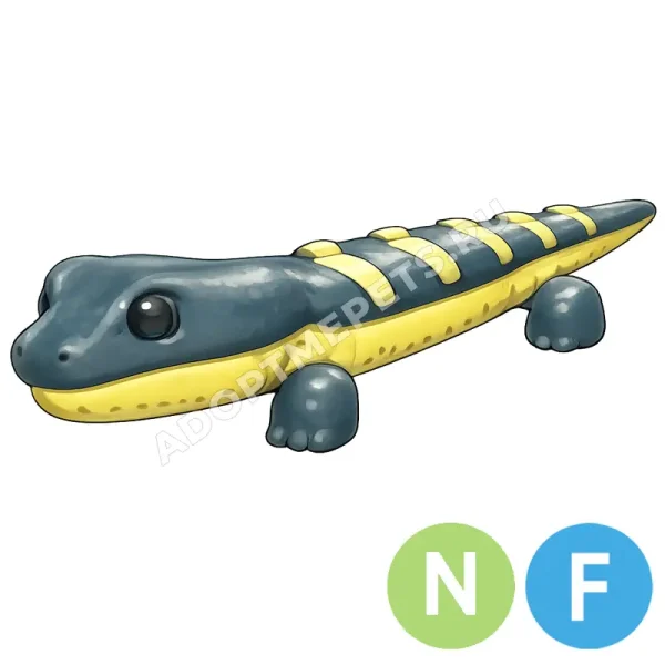 Salamander