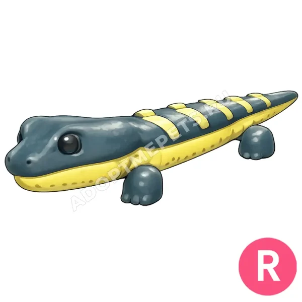 Salamander