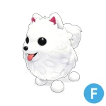 Samoyed