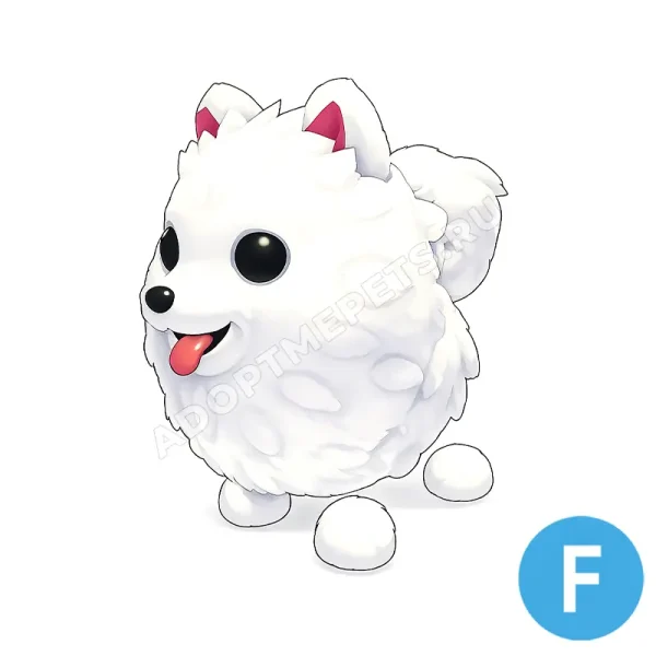 Samoyed